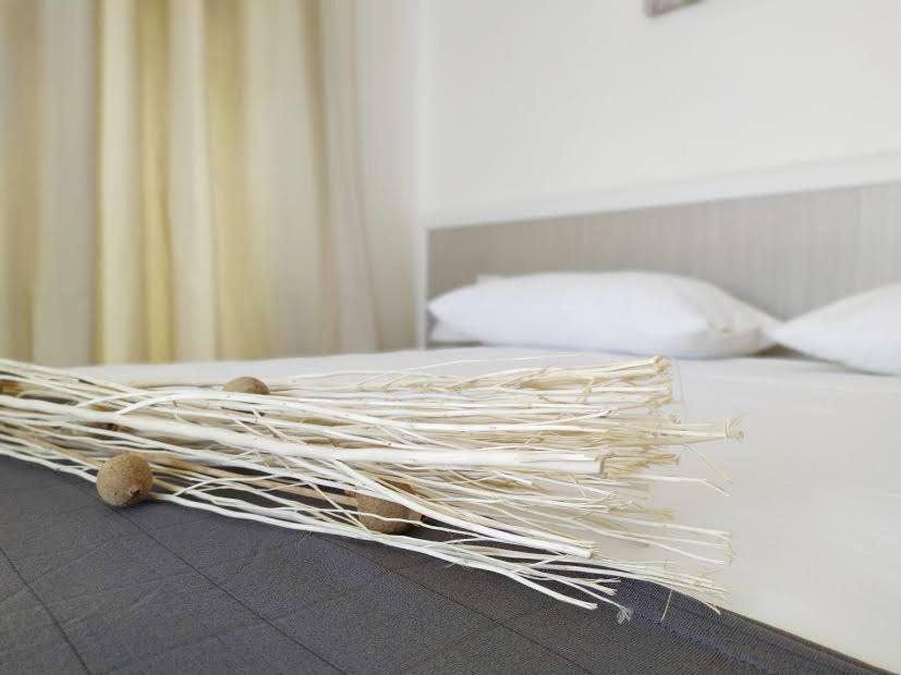 Vigna Marina Hotel 파사노 외부 사진
